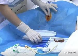 尿进肛门在线视频