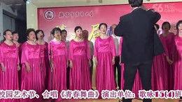 沈醮在线视频,揭秘古老仪式的现代传承