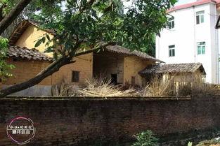 田村 在线视频,揭秘神秘乡村生活