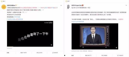 竹原 在线视频